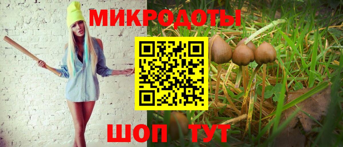 Псилоцибиновые грибы Cubensis  Вход с VPN  Воронеж 